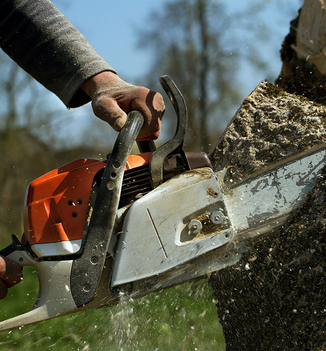 RPR Tree Service LLC Arborist Services