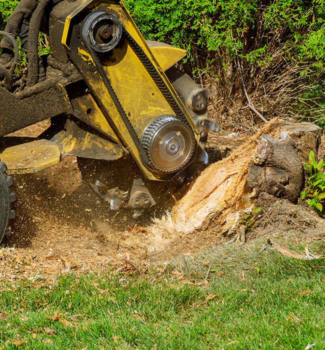 RPR Tree Service LLC Arborist Services