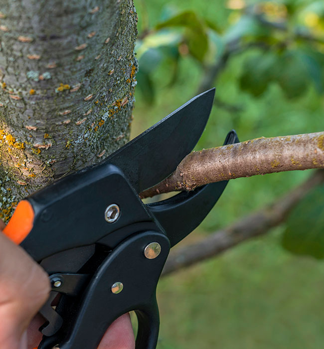 RPR Tree Service LLC Arborist Services