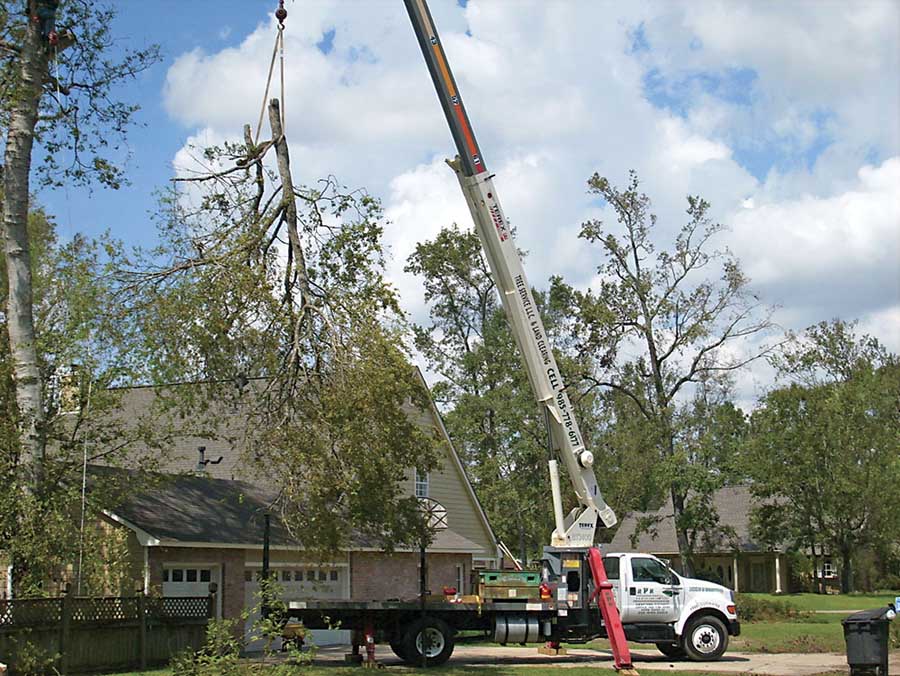 RPR Tree Service LLC Arborist Services