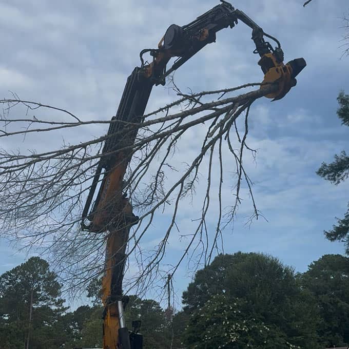 RPR Tree Service LLC Arborist Services