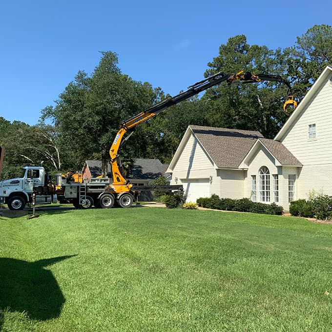RPR Tree Service LLC Arborist Services