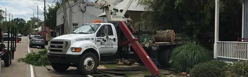 Stump Grinding Services