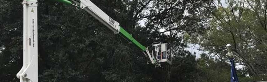 Tree Pruning Services